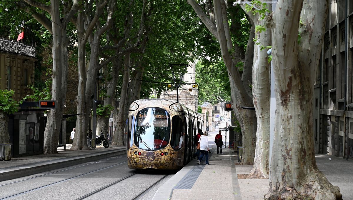 Un acteur de série victime d'un vol à l'arraché à Montpellier