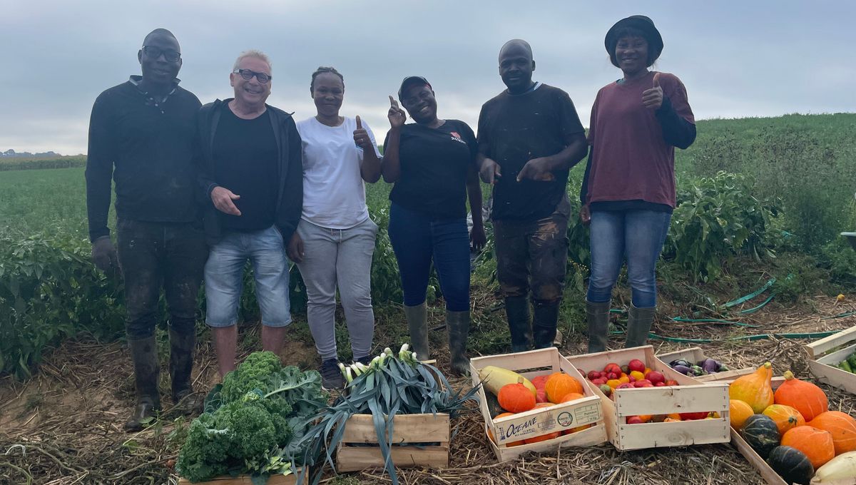 "Quand on travaille au champ, on est ensemble dans la joie" : le quotidien des agriculteurs migrants de Rennes