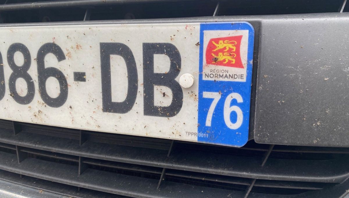 Deux jeunes surpris en train de trafiquer la plaque d'immatriculation d'une voiture