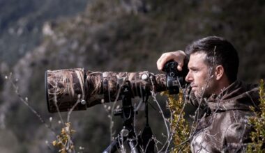 Benoît Colomb – Photographe et vidéaste à Mende (Lozère) – « La photo animalière, c'est un face à face »