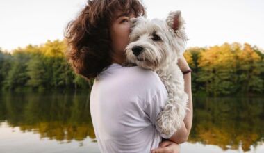 Journée mondiale du chien : un impot sur les toutous en Allemagne ?