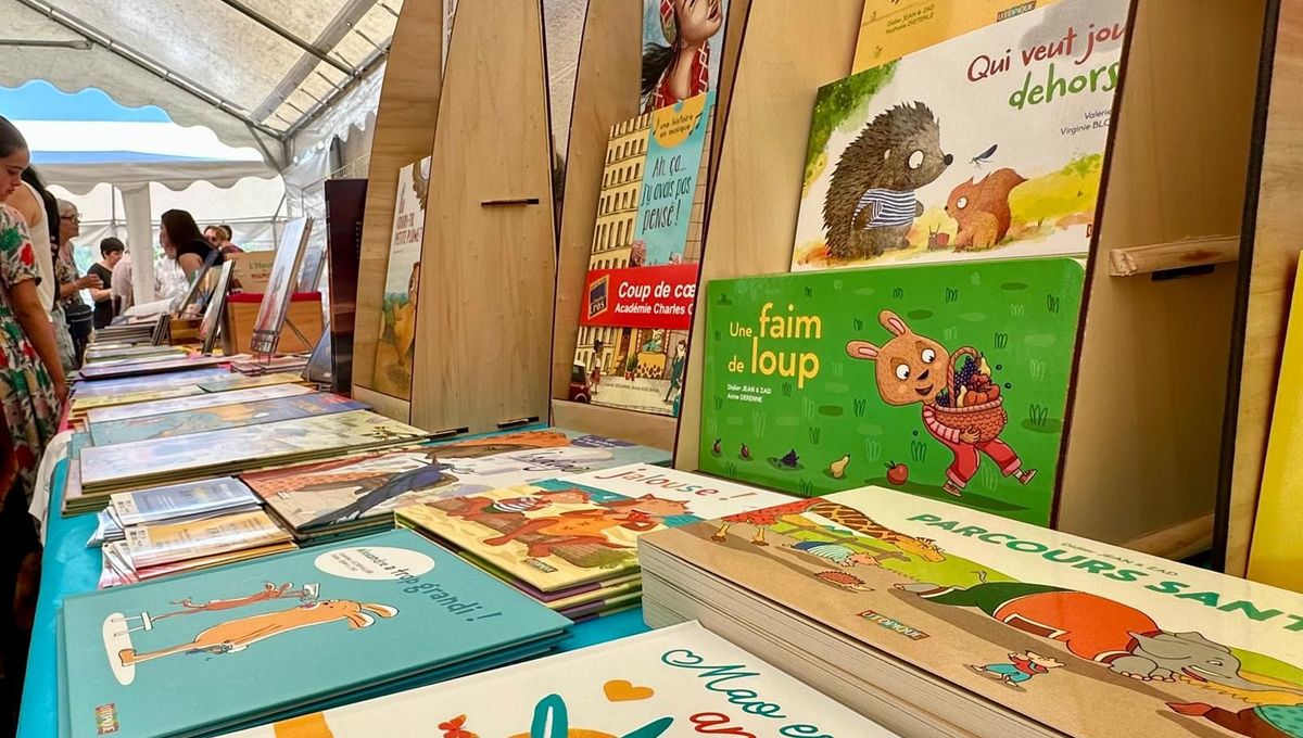 Des couvertures colorées et des histoires qui marquent : Felletin a dévoré les mots pour sa 28ᵉ Journée du livre