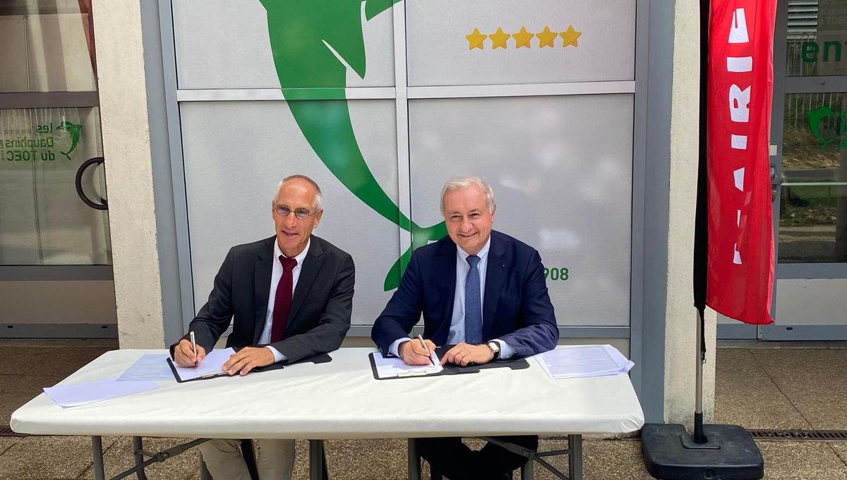 Cité de la natation à Toulouse : début du chantier en 2026, ouverture espérée en 2028