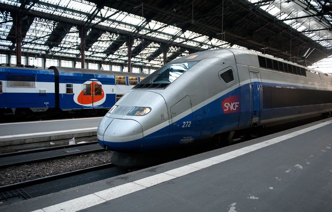 Un invalide forcé à soulever une valise lourde lors d’un contrôle dans un TGV