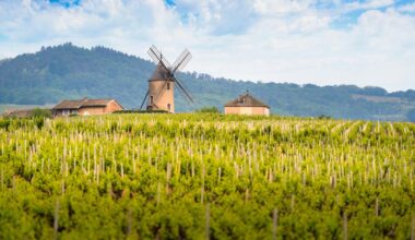 pourquoi le Beaujolais va devenir l’une des plus grandes régions viticoles de France