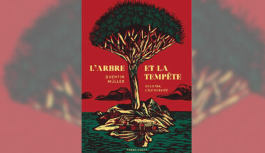 Au Yémen, les secrets d'une île à la fois convoitée et oubliée: «L'arbre et la Tempête» de Quentin Muller
