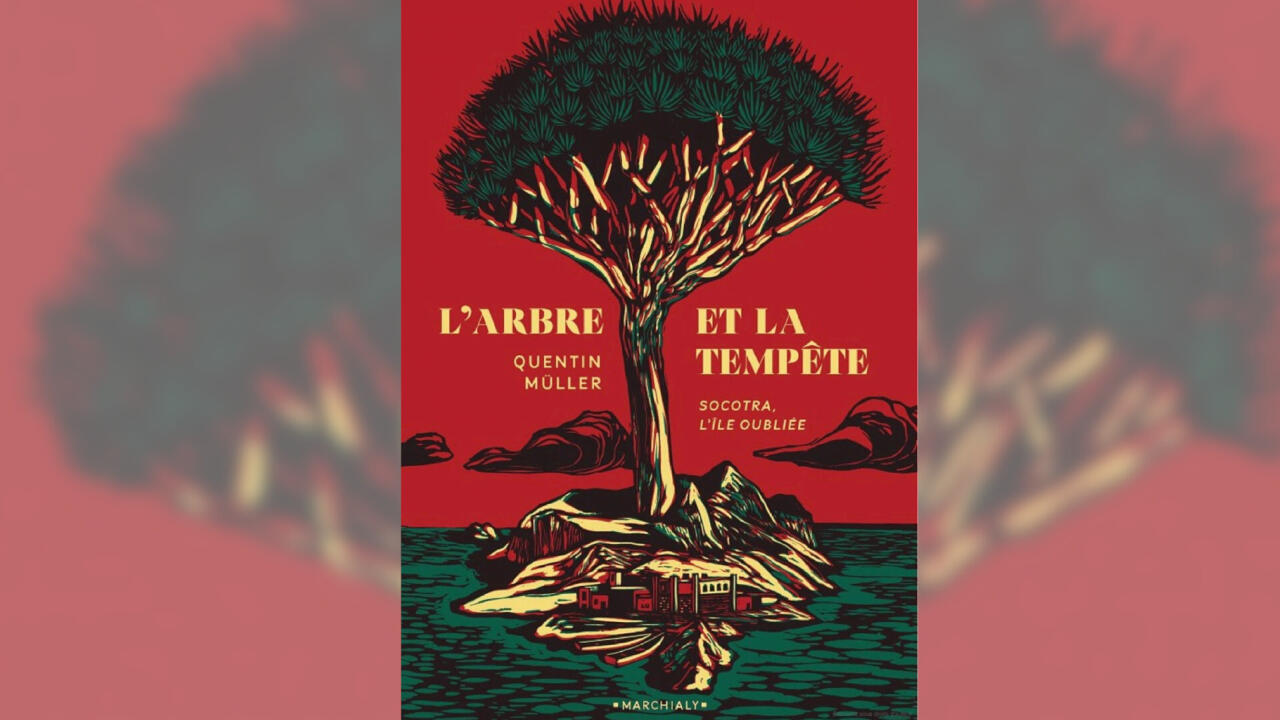 Au Yémen, les secrets d'une île à la fois convoitée et oubliée: «L'arbre et la Tempête» de Quentin Muller