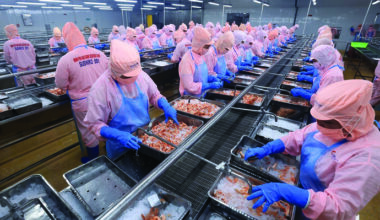 Des produits vietnamiens gagnent en popularité au Royaume-Uni