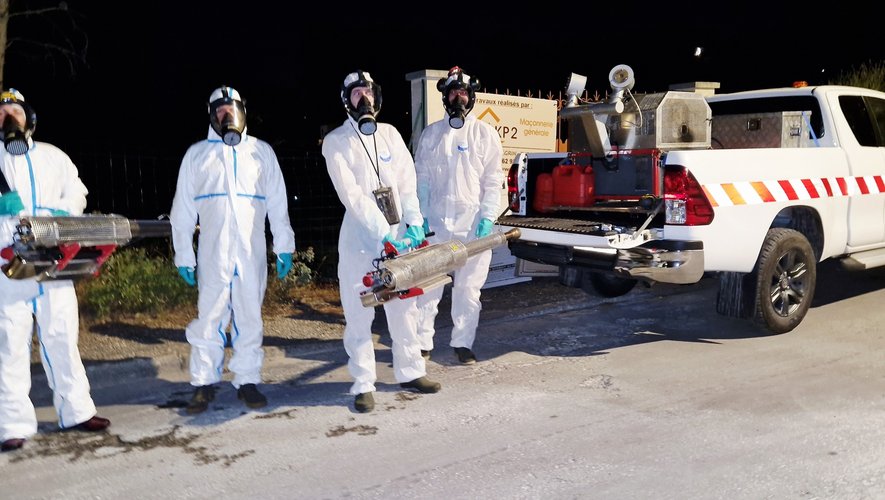 Cas avérés de chikungunya dans le Gard : la chasse au moustique tigre a commencé la nuit dernière