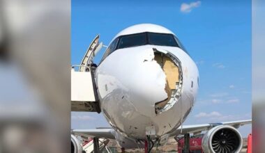 un vol Madrid-Paris fait demi-tour après une collision avec un oiseau