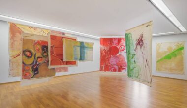 Jungles, cimes et grands fleuves, le Musée d’art du Valais tombe les murs