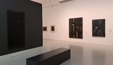 une rétrospective rend hommage au peintre Pierre Soulages à Montpellier