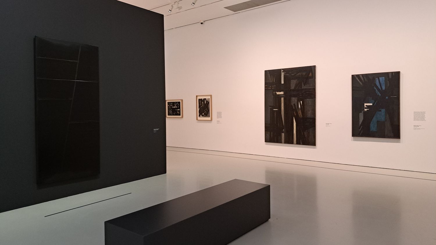 une rétrospective rend hommage au peintre Pierre Soulages à Montpellier
