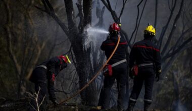 le feu qui a parcouru 16 000 hectares est à présent fixé, annonce la préfecture