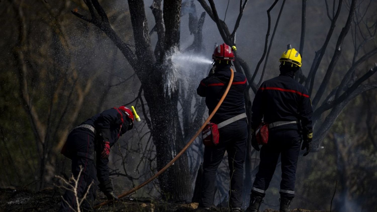 le feu qui a parcouru 16 000 hectares est à présent fixé, annonce la préfecture