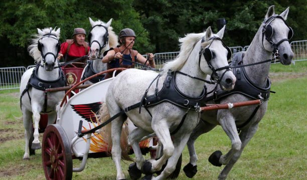 Spectacles, animations, visites guidées et expos sont au programme. Photo archives Thierry Sanchis