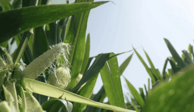 les agriculteurs en première ligne