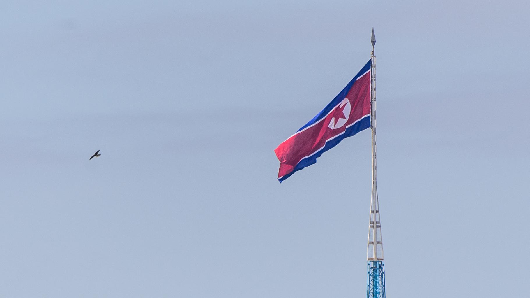 En Russie, les Nord-Coréens ne se sont pas seulement envoyés dans l’armée