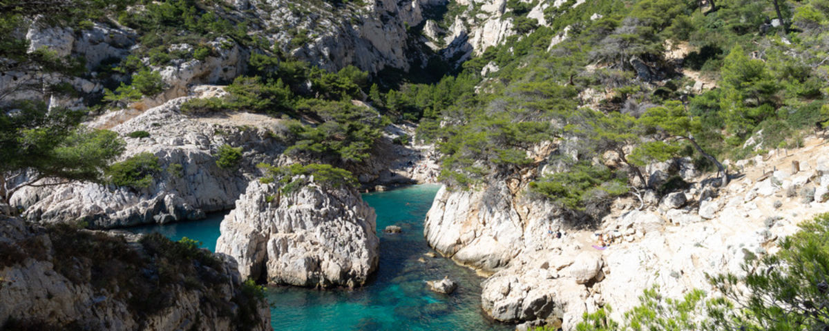 Calanques de Marseille : l’accès sous haute surveillance cet été