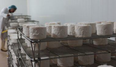 la fromagerie Chavegrand avait déjà effectué des rappels de sa production en juin