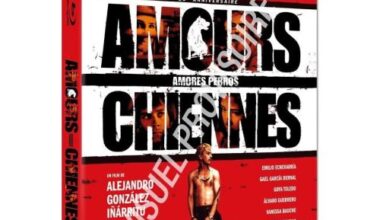 Amours Chiennes (2000) le 14 novembre en 4K Ultra HD Blu-ray pour ses 25 ans