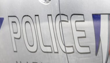 Un homme interpellé après avoir ouvert le feu à la Viste, dans le 15e arrondissement de Marseille