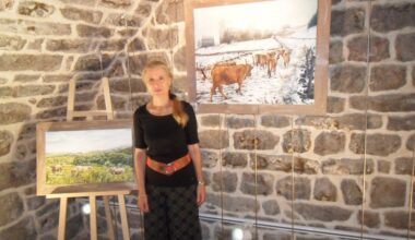 Le BIT accueille les peintures de Cathy Cavalier