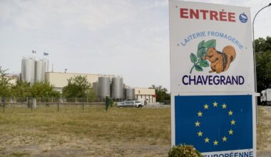 "Si le lien est établi, on procédera à des indemnisations", assure la fromagerie Chavegrand