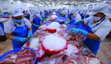 EVFTA, catalyseur du commerce Vietnam