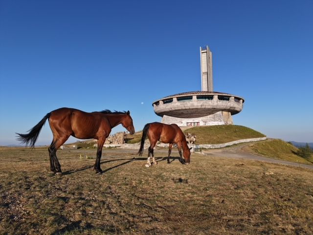 Une magnifique rencontre en Albanie.