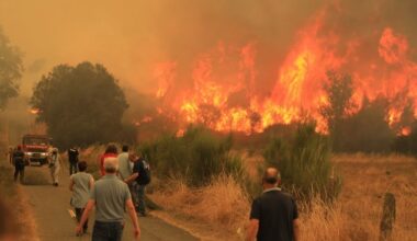 VIDEO. En proie à de violents incendies, l'Espagne appelle l'Union européenne à l'aide