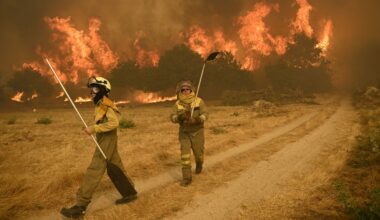 près de 3 500 militaires en renfort pour combattre les flammes