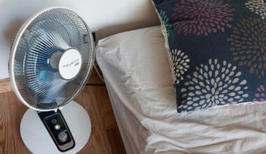 des records de températures battus dans la nuit de vendredi à samedi dans plusieurs villes françaises, selon Météo-France