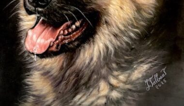 Gaillac. Jocelyne voit les animaux en peinture