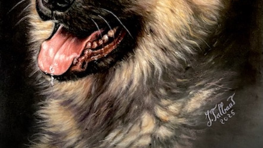 Gaillac. Jocelyne voit les animaux en peinture