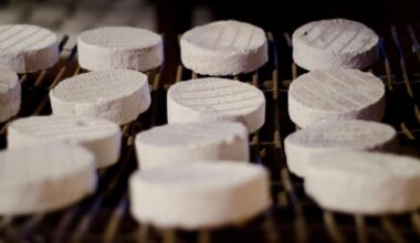 les fromages français contaminés suspectés d’avoir fait des malades dans d’autres pays européens