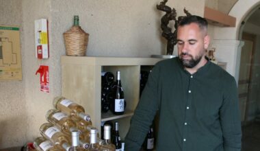Clément Dumareau entame sa première vendange