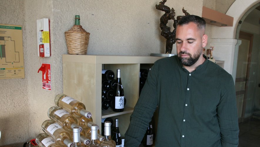 Clément Dumareau entame sa première vendange