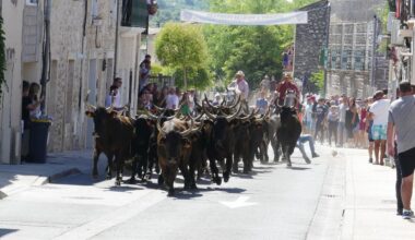 Sortir à Montpellier : Saint-Gély en fête, terroir, danse, visite archéologique… des idées pour ce jeudi 21 août