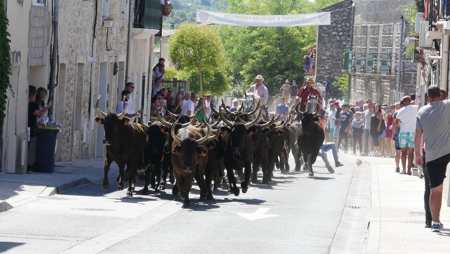 Sortir à Montpellier : Saint-Gély en fête, terroir, danse, visite archéologique… des idées pour ce jeudi 21 août