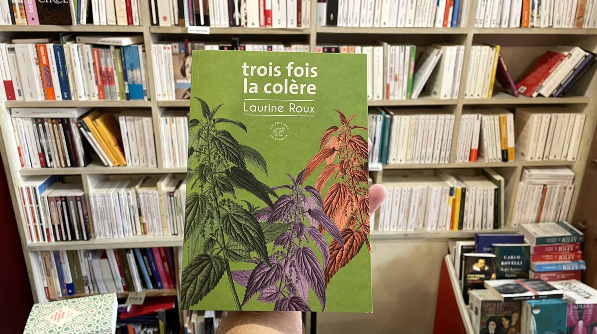 rentrée littéraire 2025 librairies Teissier Fnac Goyard (Photo Anthony Maurin)