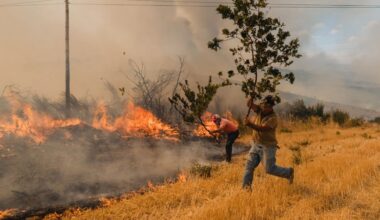 Les incendies ont brûlé plus d'un million d'hectares dans les pays de l'Union européenne depuis début 2025, du jamais-vu