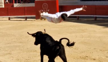 Art Toros & Chevaux revient pour sa troisième édition