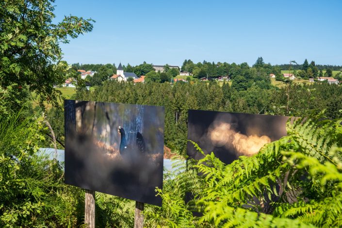 les photographies poétiques de Vincent Munier au jardin de Bernadette