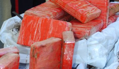 Téléphone dédié, cache aménagée, cinq trajets réalisés… : un chauffeur roumain arrêté par la douane, sur l’A9, avec 19 kg de cocaïne