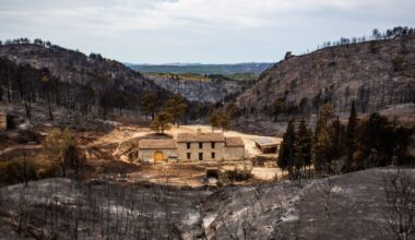 la présidente du département appelle les Français à ne pas bouder le territoire après les incendies