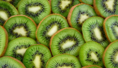 L'UE accorde la première allégation de santé pour la digestion au kiwi vert - Business AM