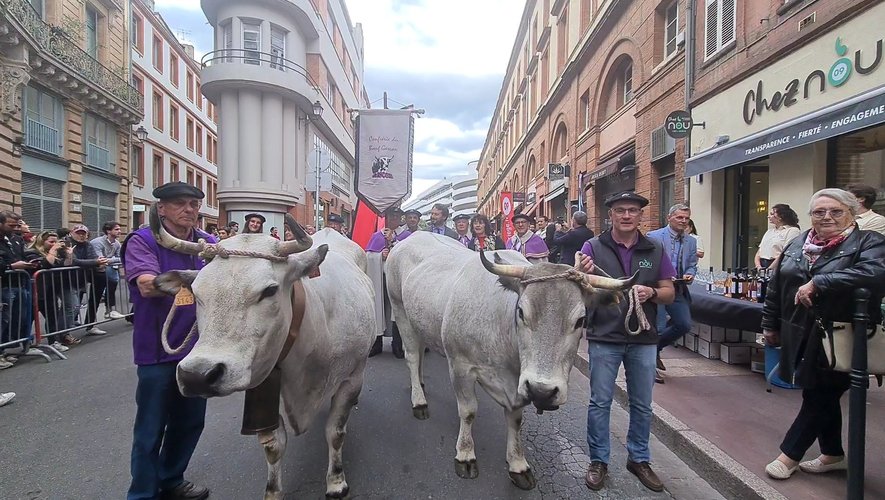Le terroir ariégeois prend ses marques à Toulouse