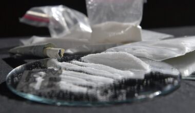 INFO LA DÉPÊCHE. Cocaïne, kétamine, cannabis… plusieurs kilos de drogues saisis à Toulouse, deux hommes interpellés