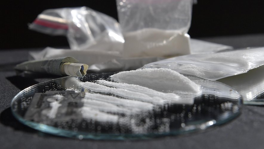 INFO LA DÉPÊCHE. Cocaïne, kétamine, cannabis… plusieurs kilos de drogues saisis à Toulouse, deux hommes interpellés